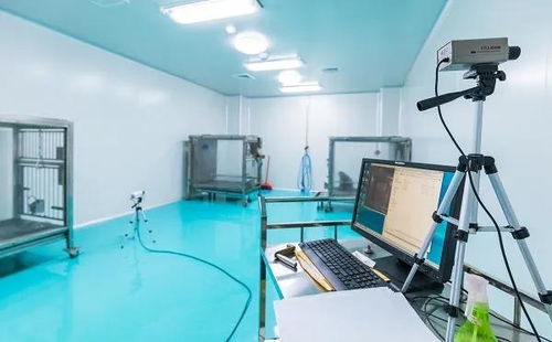 科研試金石與生物制劑研發的幕后功臣 實驗動物的神奇使命